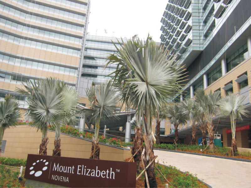 Mount Elizabeth Hospital